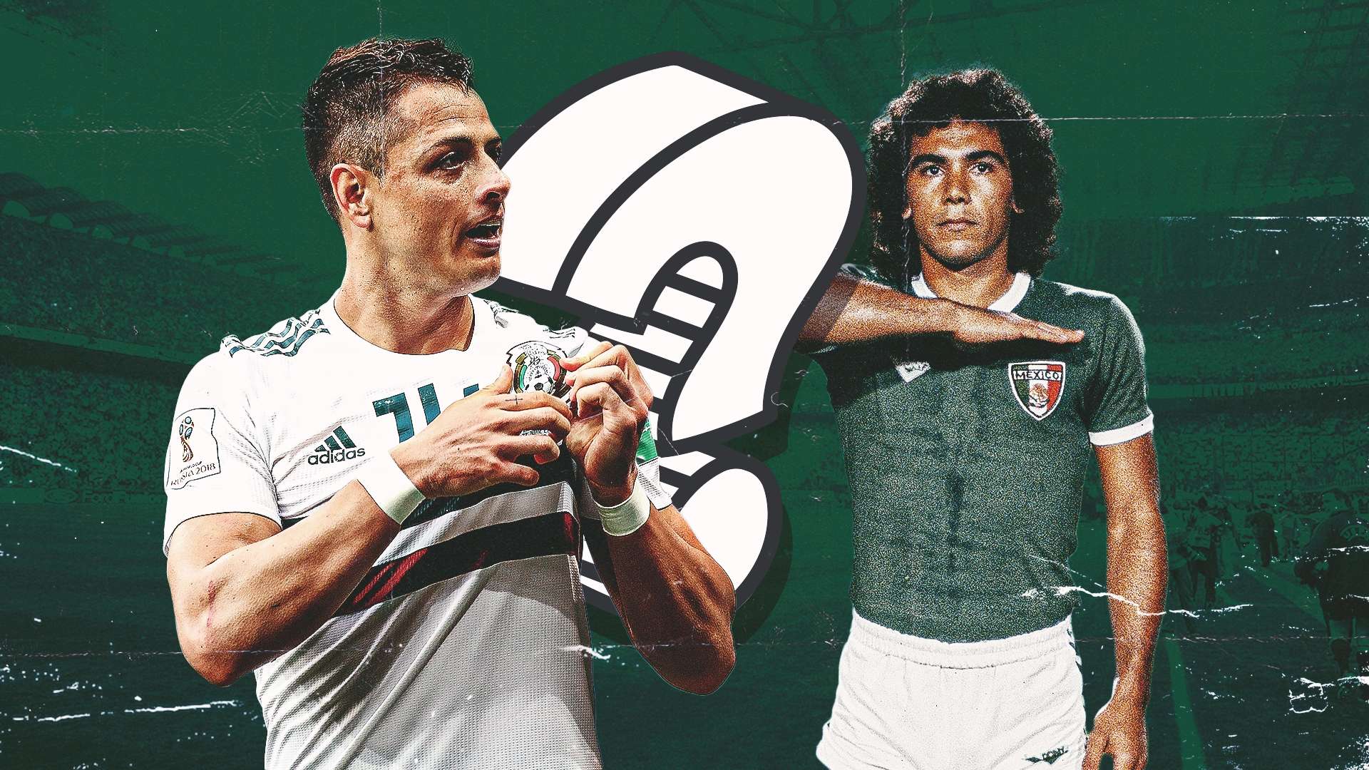 有着极高的 有着极高的